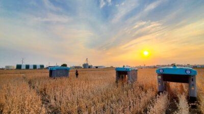 robot agricolo
