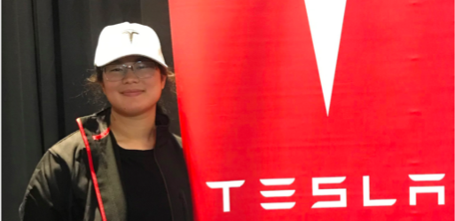 il melting pot di Tesla