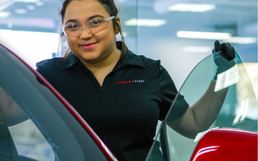 il melting pot di Tesla