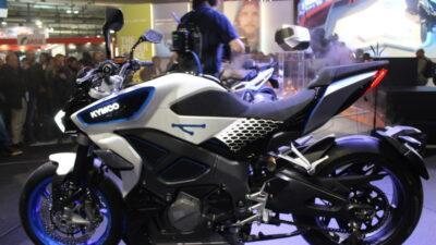 revonex