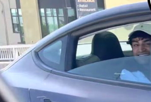 il teslaro più stupido