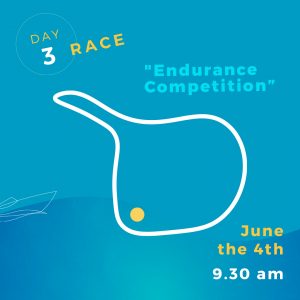 endurance eregatta