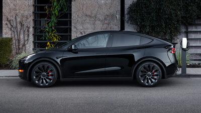 norvegia model y