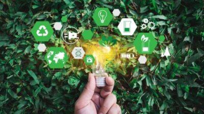 impronta ecologica