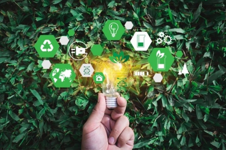 impronta ecologica