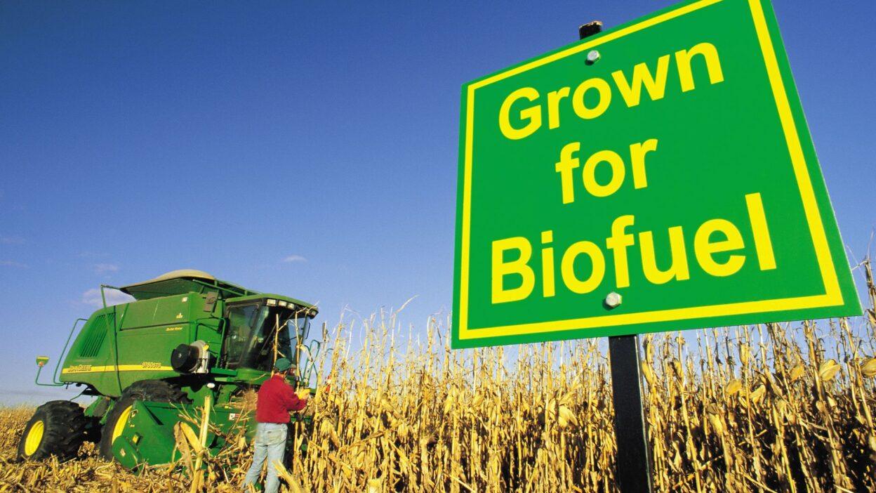 biocarburanti