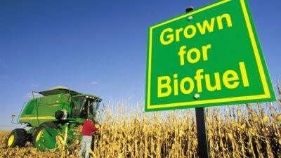 biocarburanti