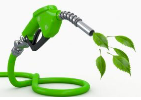 Giorgetti insiste sui biocarburanti