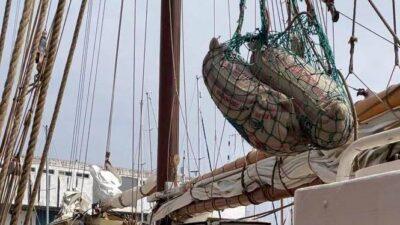 shipped by sail