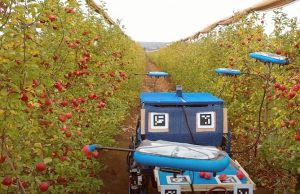 robot agricolo agricoltura elettrica