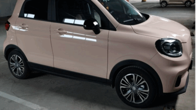 salvini auto cinese