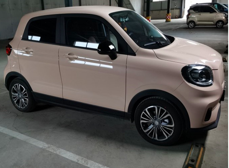 salvini auto cinese