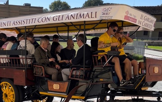 carrozza elettrica