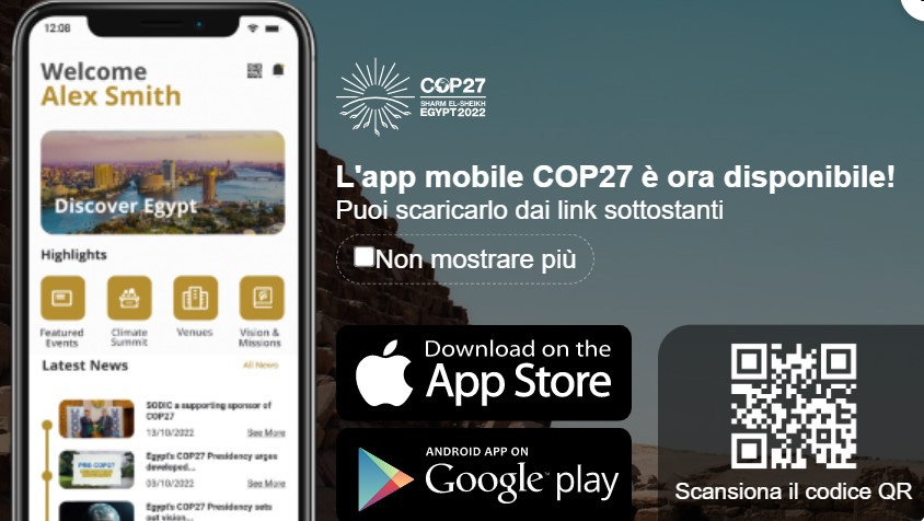 cop 27