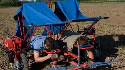 agricoltura elettrica