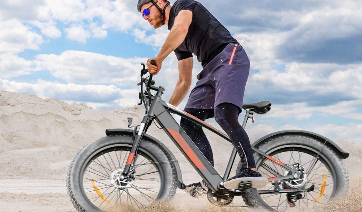 e-bike ruote fat eleglide tankroll