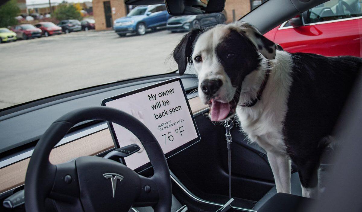 auto elettrica diesel