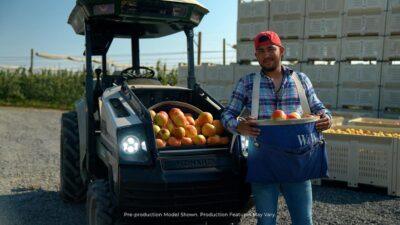 agricoltura elettrica