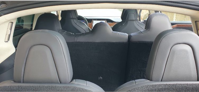 tesla x e cura