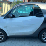 tesla x e cura