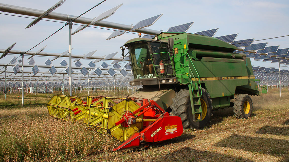 L'agrivoltaico permettono la coesistenza in campo delle due filiere produttive 