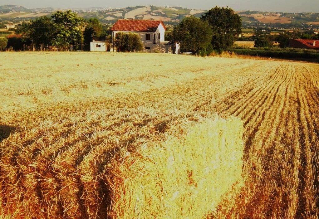 agriturismo ricarica