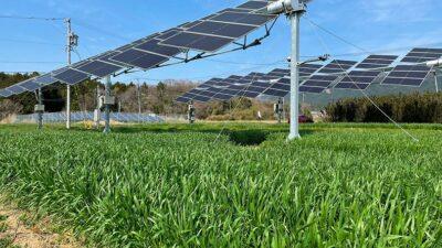 Agrivoltaico