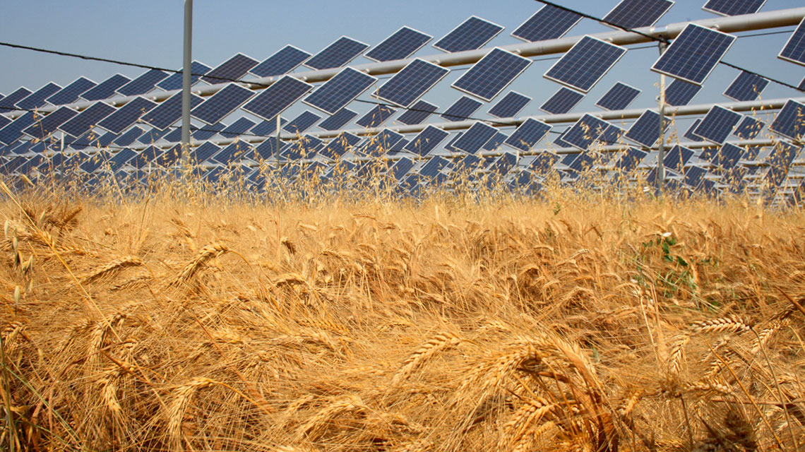 agrivoltaico agricoltura elettrica