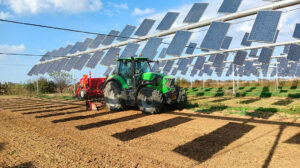 agrivoltaico agricoltura elettrica