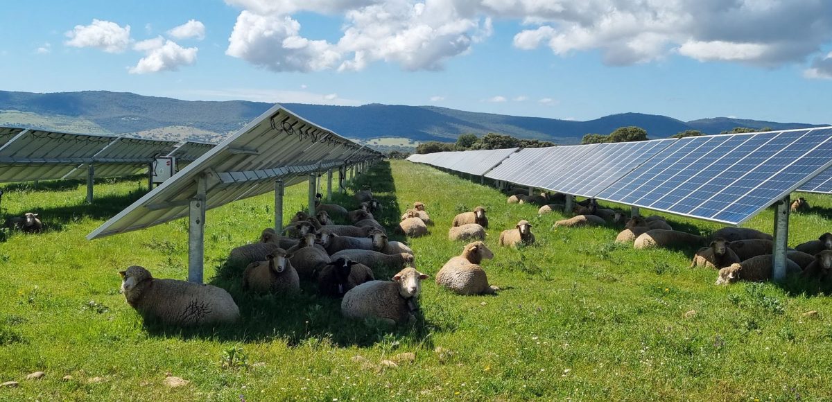 fotovoltaico