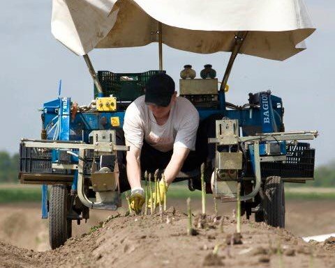 agricoltura elettrica