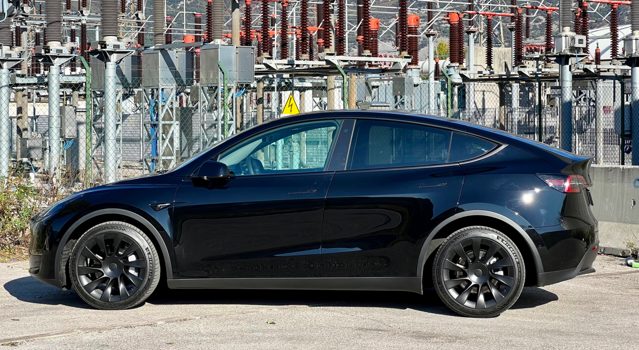 Vendite Model Y