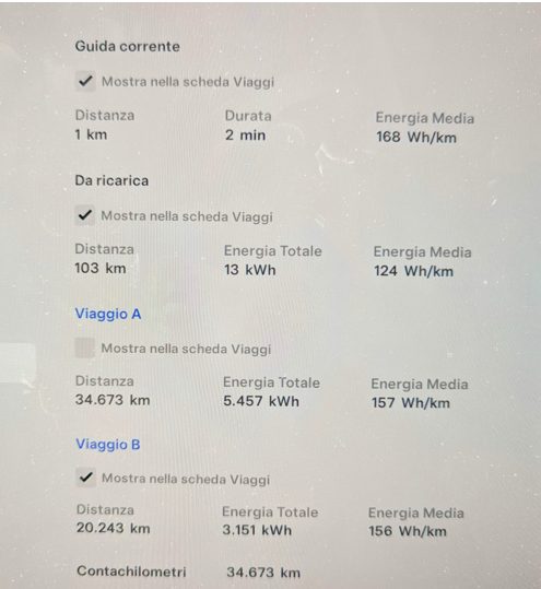 un anno in Model Y
