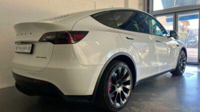 dilemma model y