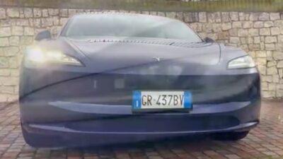 Model 3 o Model Y