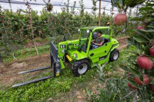 Merlo