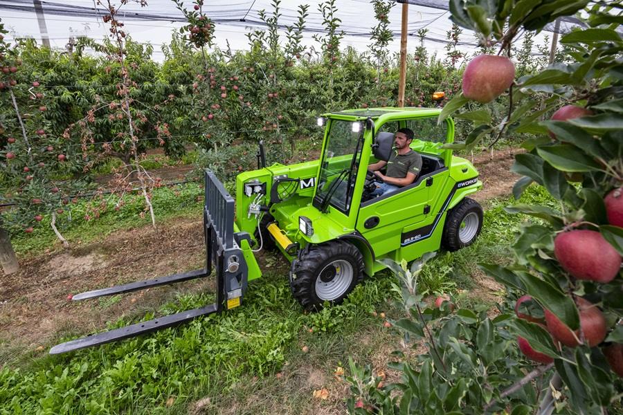 Merlo