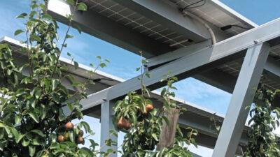 Frutteto elettrico