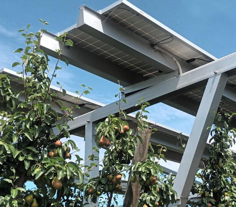Frutteto elettrico