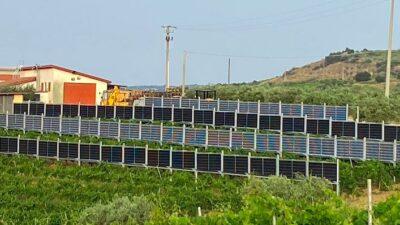 agrivoltaico