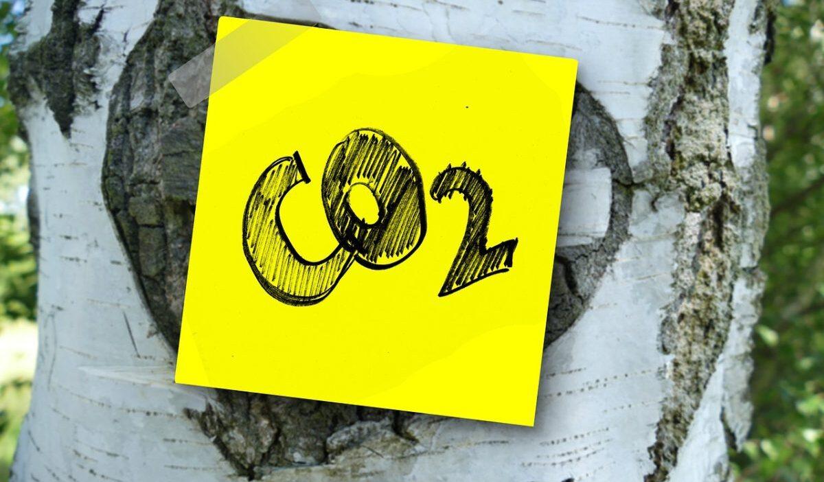 standard co2