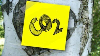 standard co2