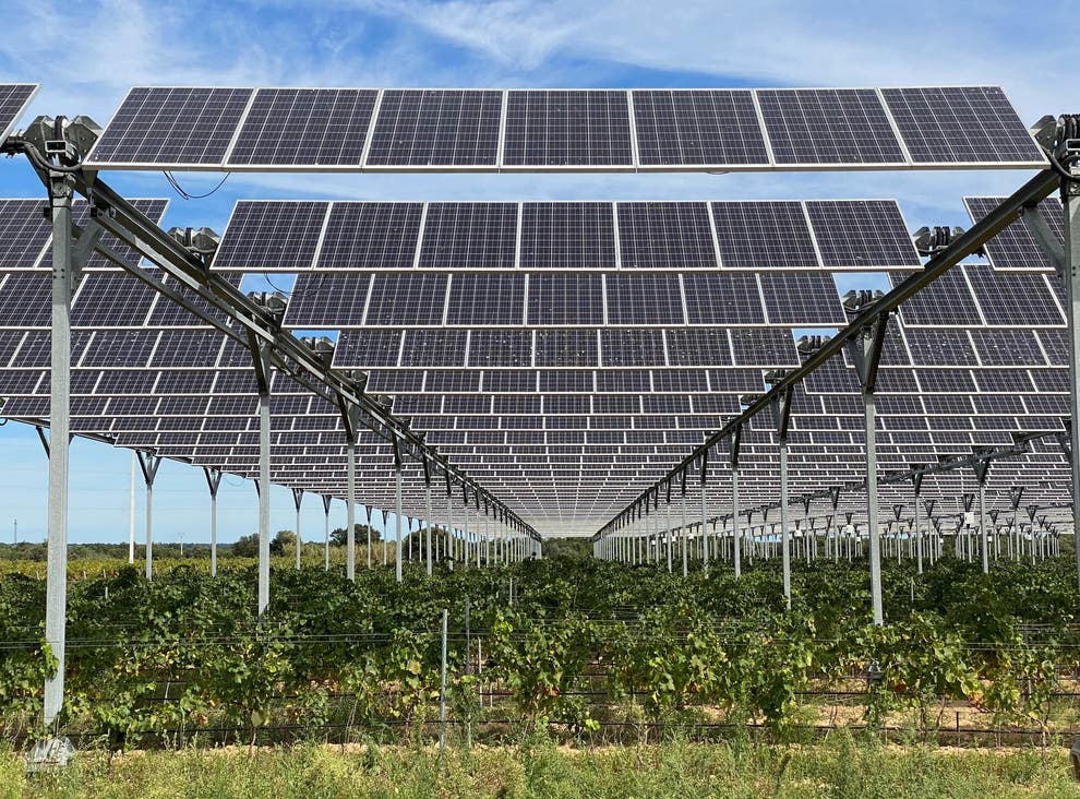 Agrivoltaico