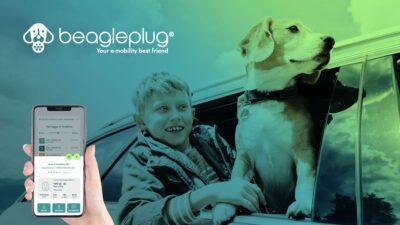 beagle plug