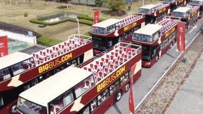 big bus tours
