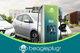 beagle plug
