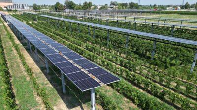 Agrivoltaico