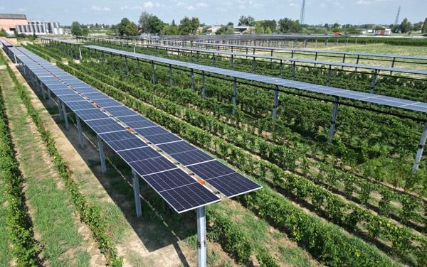 Agrivoltaico