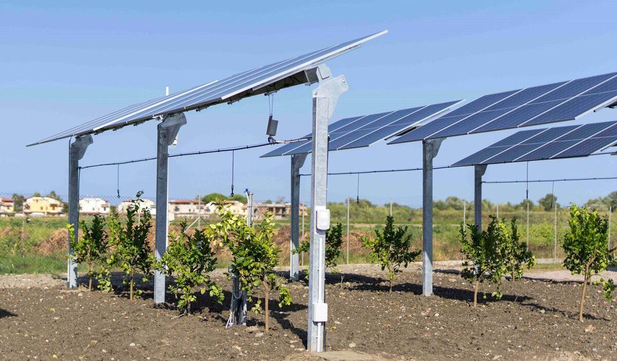 agrivoltaico
