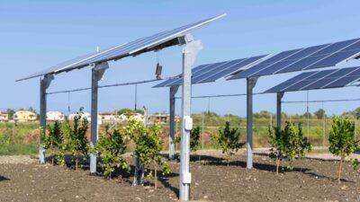 agrivoltaico